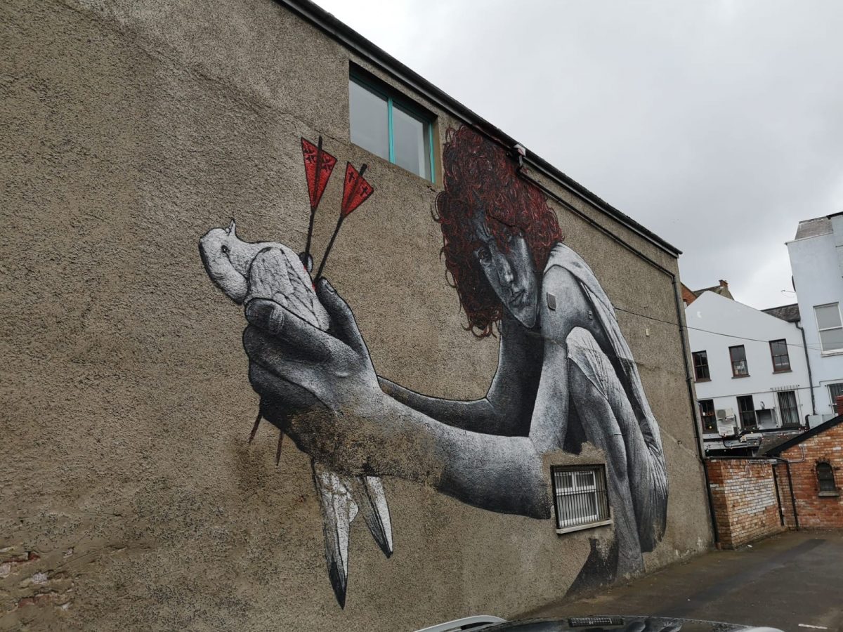 Brexit und Fußballfans, eine Informations- und Begegnungsreise nach Nord/Irland“